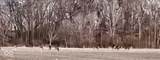 0 400 - Photo 15