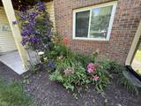 12544 Timber Creek Drive - Photo 21