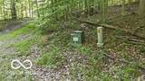7746 Tunnel Road - Photo 12