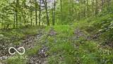 7746 Tunnel Road - Photo 13