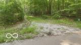 7746 Tunnel Road - Photo 5