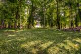 558 82nd Street - Photo 2