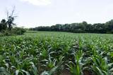0 E State Road 44 - Photo 17