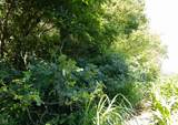 0 E State Road 44 - Photo 28