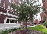 230 9th Street - Photo 21