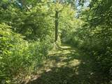 0 State Road 19 - Photo 23