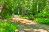 0 Elkinsville Road - Photo 3