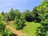 9950 Chapel Hill Road - Photo 9