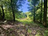 5578 Nebo Country Drive - Photo 3