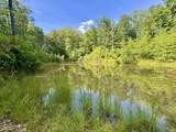5578 Nebo Country Drive - Photo 4