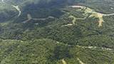 12375 Melock Road - Photo 59