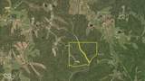 12375 Melock Tract 2 Road - Photo 44