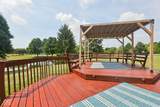 10381 Cotton Blossom Drive - Photo 33