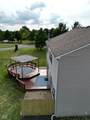 10381 Cotton Blossom Drive - Photo 38