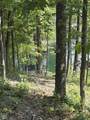 7595 Hummingbird Drive - Photo 3