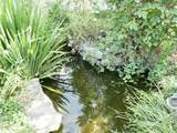 24 Brandt Street - Photo 42