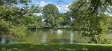 4725 Milton Street - Photo 1