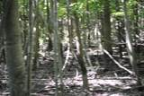 8000 County Road 1000 - Photo 11