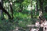 8000 County Road 1000 - Photo 13