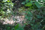 8000 County Road 1000 - Photo 25