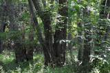 8000 County Road 1000 - Photo 26