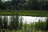 8000 County Road 1000 - Photo 4