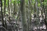 8000 County Road 1000 - Photo 10