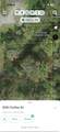 3351 Coffey Street - Photo 4