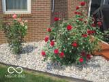 1025 500 - Photo 8