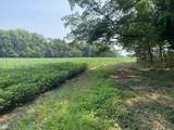 TBD Us 231 - Photo 5