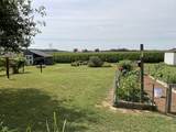 3430 State Highway 46 - Photo 31