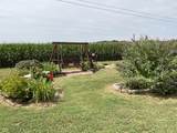 3430 State Highway 46 - Photo 5