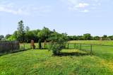 8719 Hosta Way - Photo 23