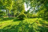 1667 Stacy Lynn Drive - Photo 40