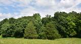 4203 Moorman Road - Photo 2
