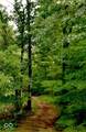 4203 Moorman Road - Photo 5