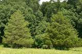 4203 Moorman Road - Photo 10