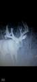 3168 Coffing Brothers - Photo 51