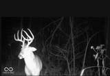 3168 Coffing Brothers - Photo 53