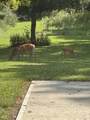 6273 County Road 200 - Photo 31