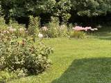 6273 County Road 200 - Photo 34
