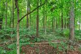 4202 Whitetail Woods Drive - Photo 84