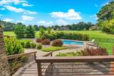 4202 Whitetail Woods Drive - Photo 91