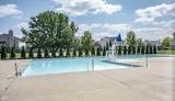 11711 Fawn Crest Drive - Photo 52
