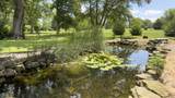 9805 10th Street - Photo 9