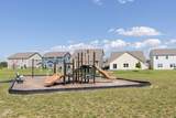 5854 Cherrywood Lane - Photo 51
