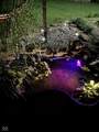 353 Broken Arrow Circle - Photo 8