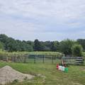 4791 County Road 950 Road - Photo 14
