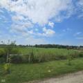 4791 County Road 950 Road - Photo 15