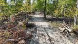 3 County Road 500 - Photo 3
